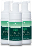 Mint and Eucalyptus Hand Foam Sanitiser